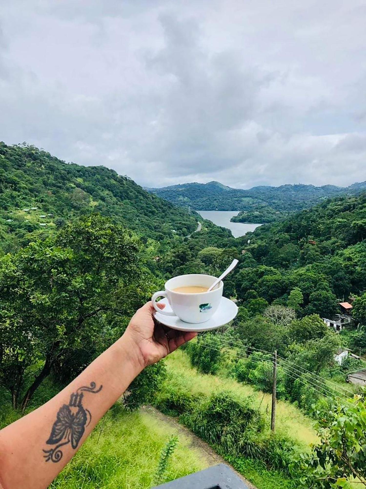 Kandy Victoria Eco Resort מראה חיצוני תמונה