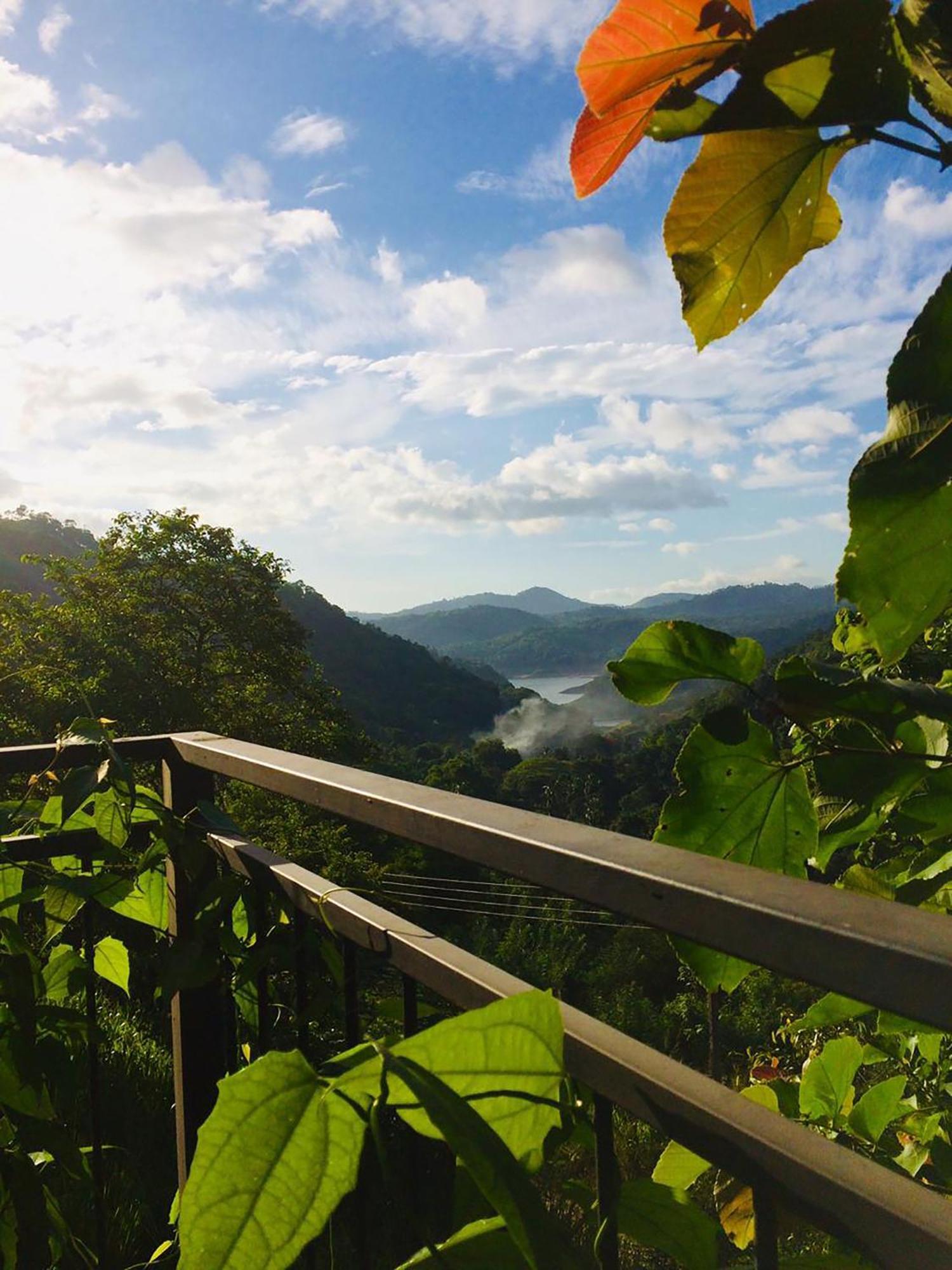 Kandy Victoria Eco Resort מראה חיצוני תמונה